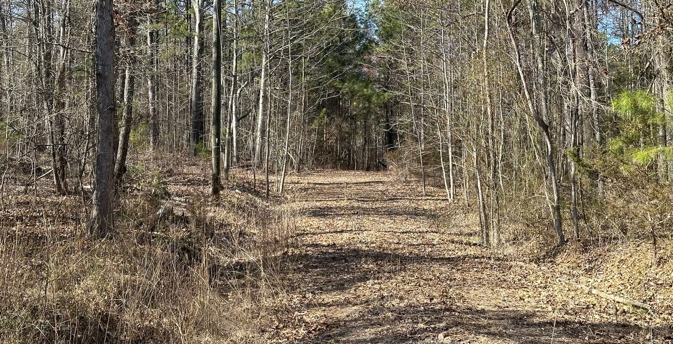 Wd rd IMG 9579