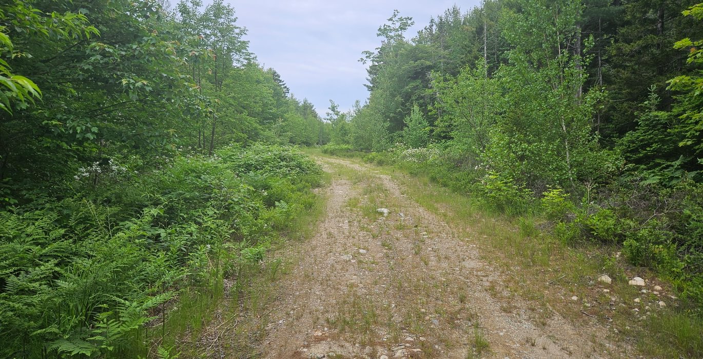 Access Road directly off Route 1