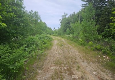 Access Road directly off Route 1