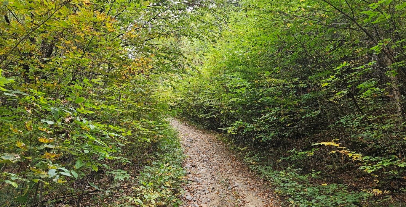 Access road along north boundary