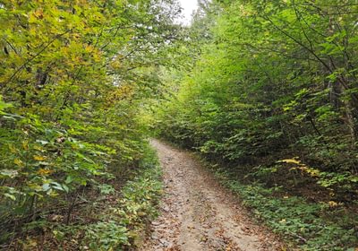 Access road along north boundary
