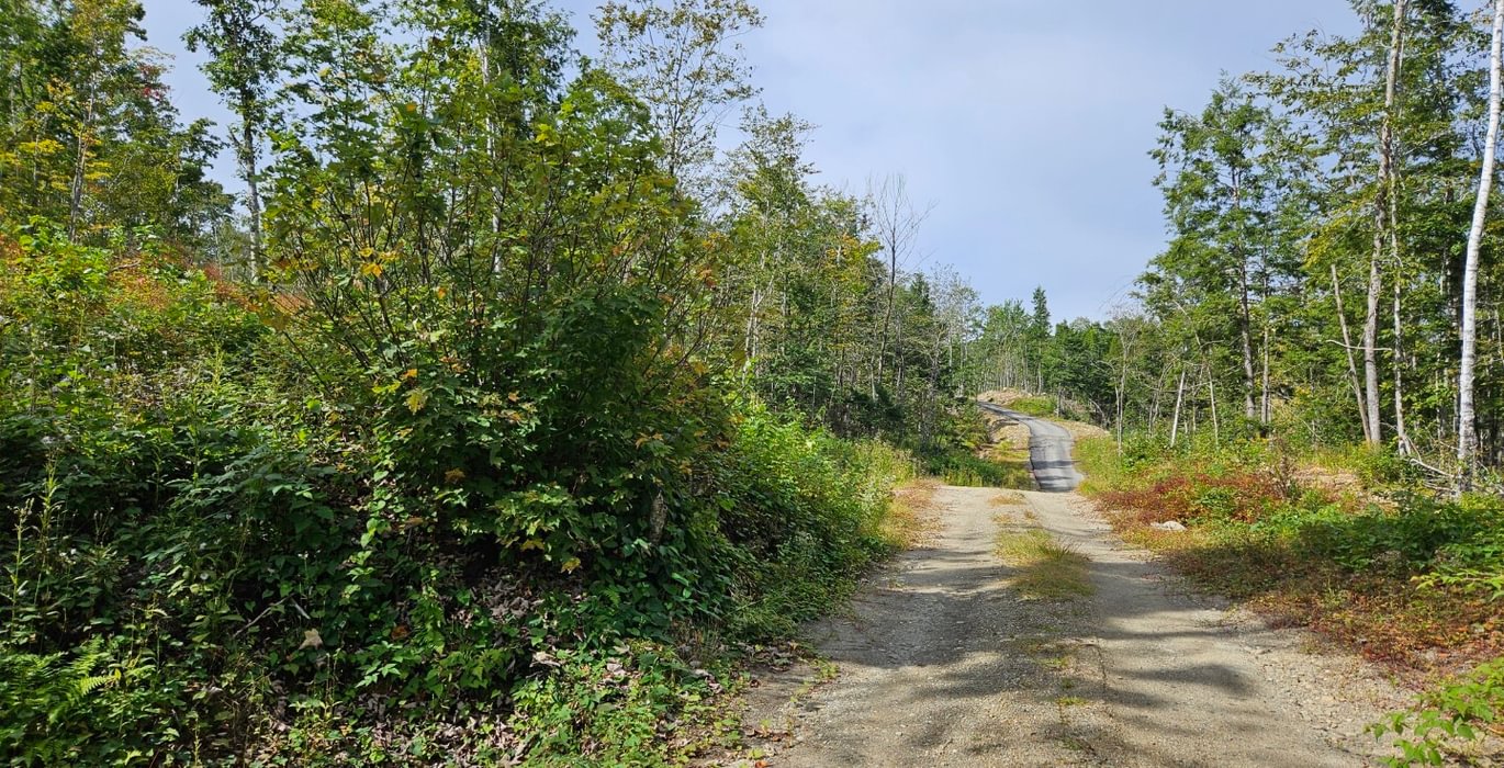 Access road off Nason Hill road