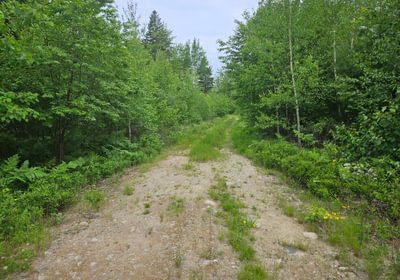 Access road off Route 1 lot