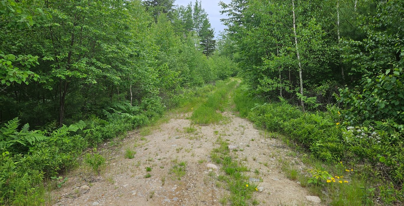 Access road off Route 1 lot