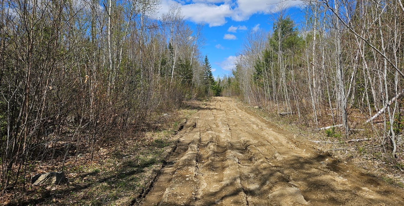 Access road rough section
