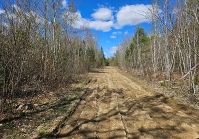 Access road rough section