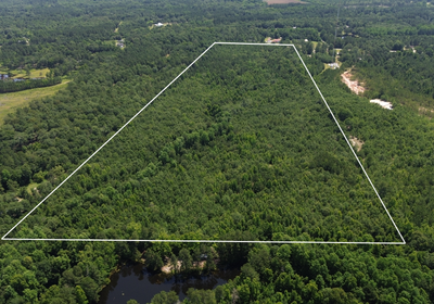 Aerial rear Outline