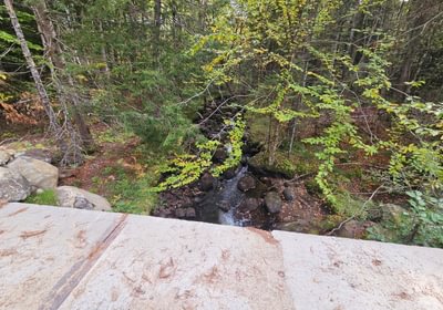 Aunt Hannah Brook from Bridge along ROW