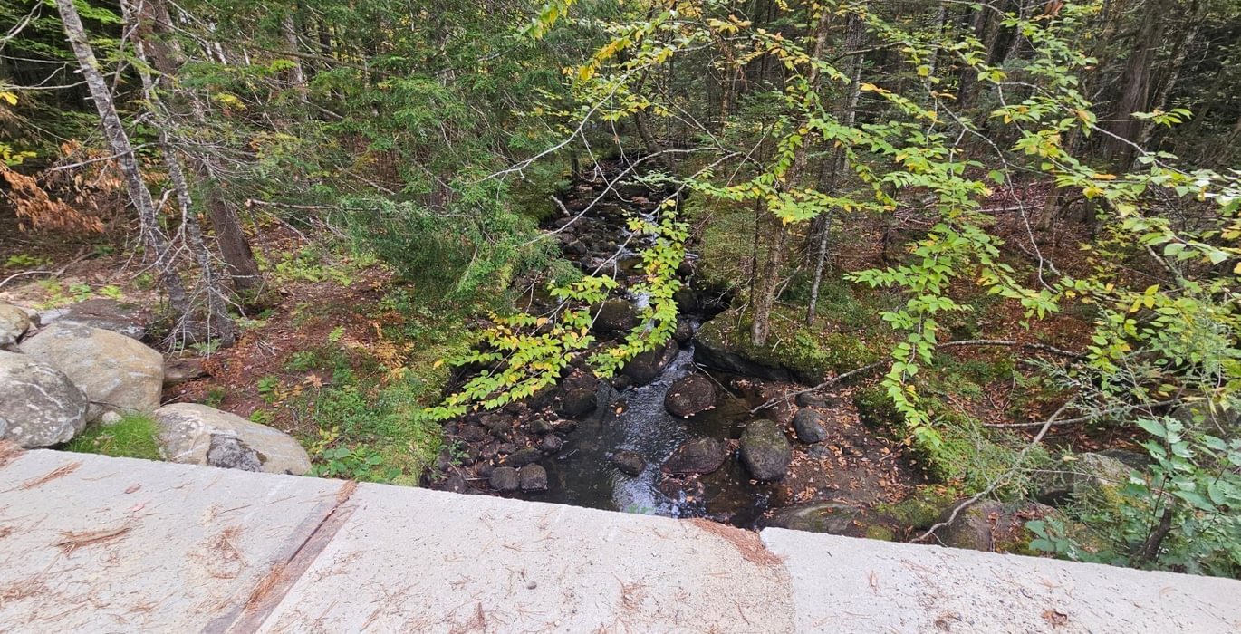 Aunt Hannah Brook from Bridge along ROW