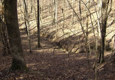 B Smith creek 2