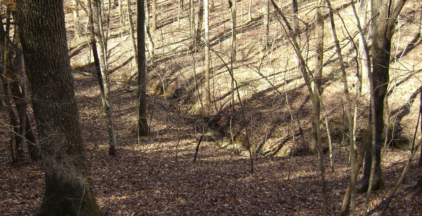 B Smith creek 2