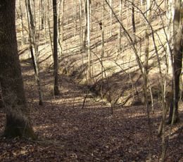 B Smith creek 2
