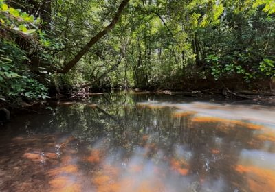 Beaverdam Creek