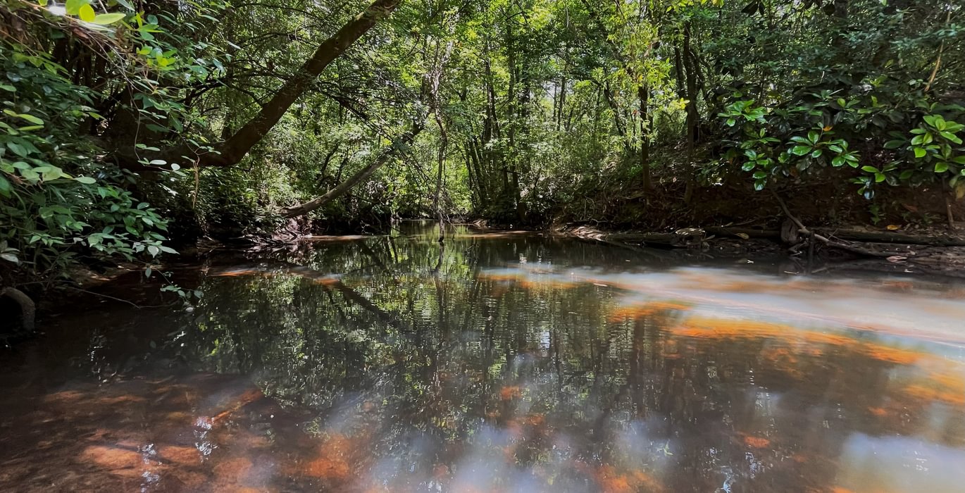 Beaverdam Creek
