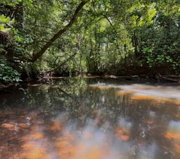 Beaverdam Creek