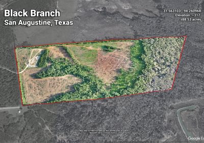 Black Branch 1