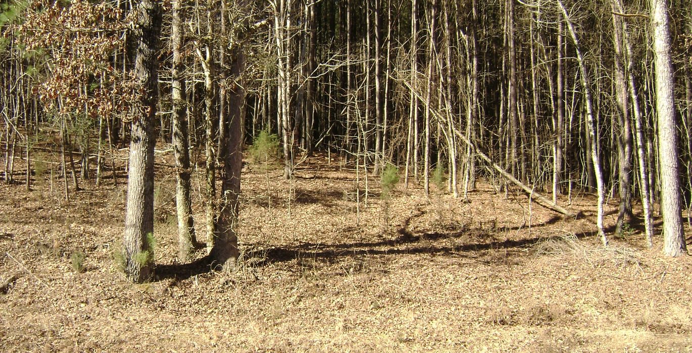 Brian Smith tract 3
