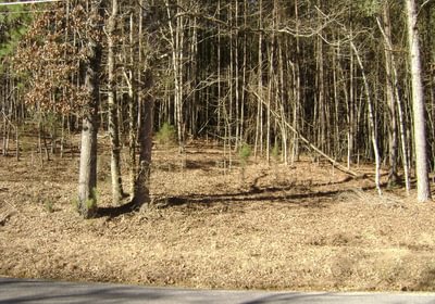Brian Smith tract 3