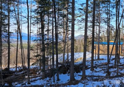 Camp with Mt Blue in distance