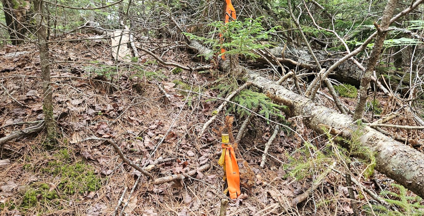 Corner pin assumed on big lot