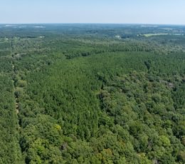 DJI 0063