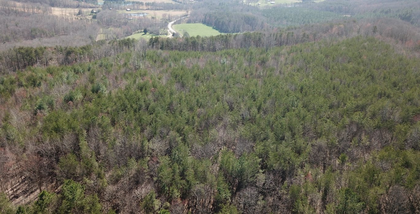 DJI 0064