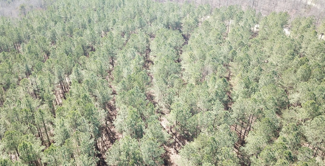 DJI 0077