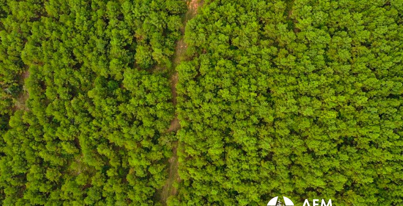 DJI 0099aa
