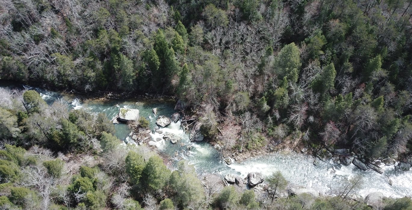 DJI 0256