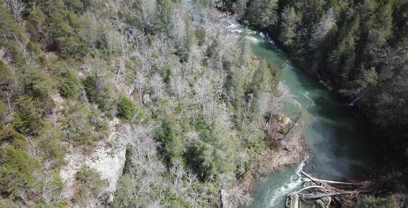 DJI 0263