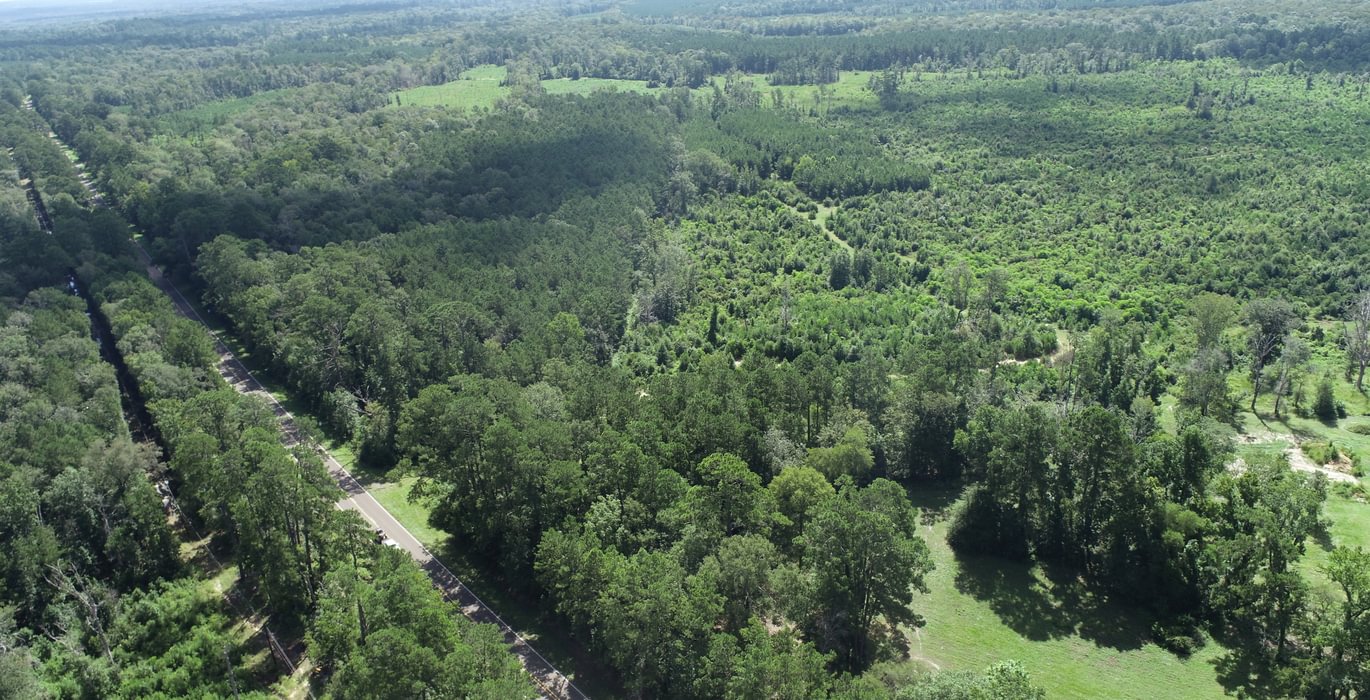 DJI 0263
