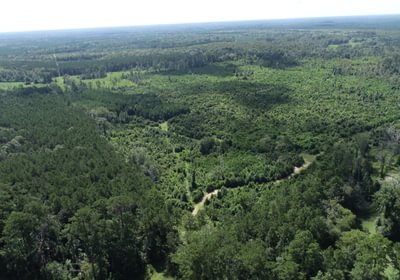 DJI 0267