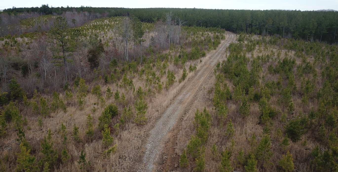 DJI 0273
