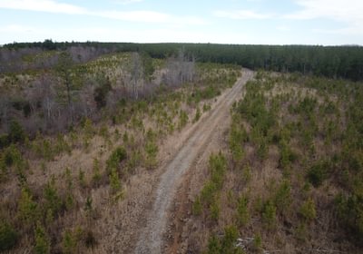 DJI 0273