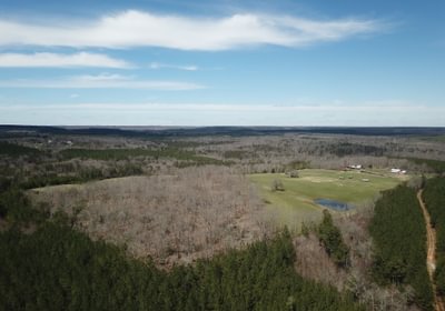 DJI 0277