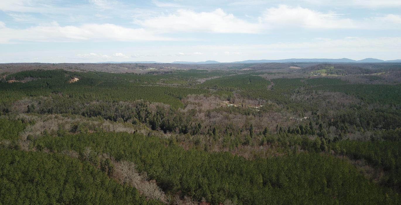 DJI 0280