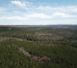 DJI 0280