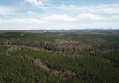 DJI 0280