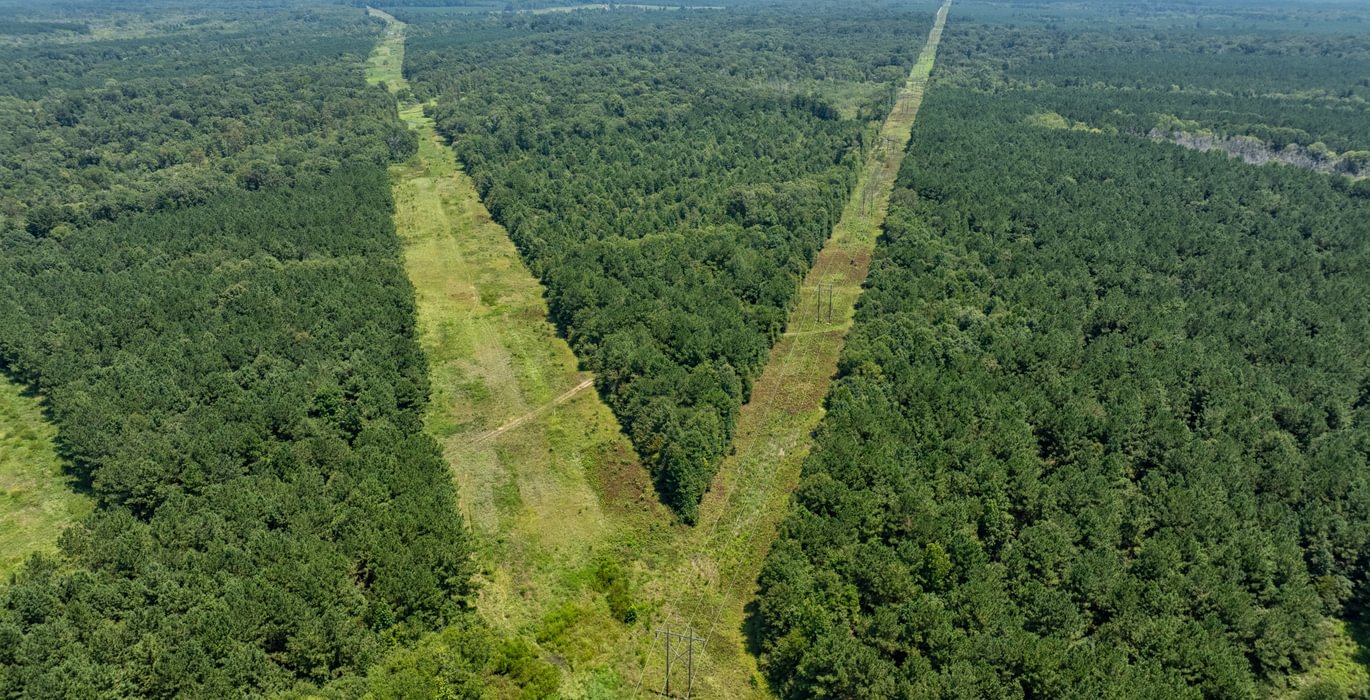 DJI 0213
