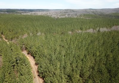 DJI 0300