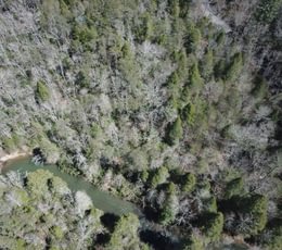 DJI 0328