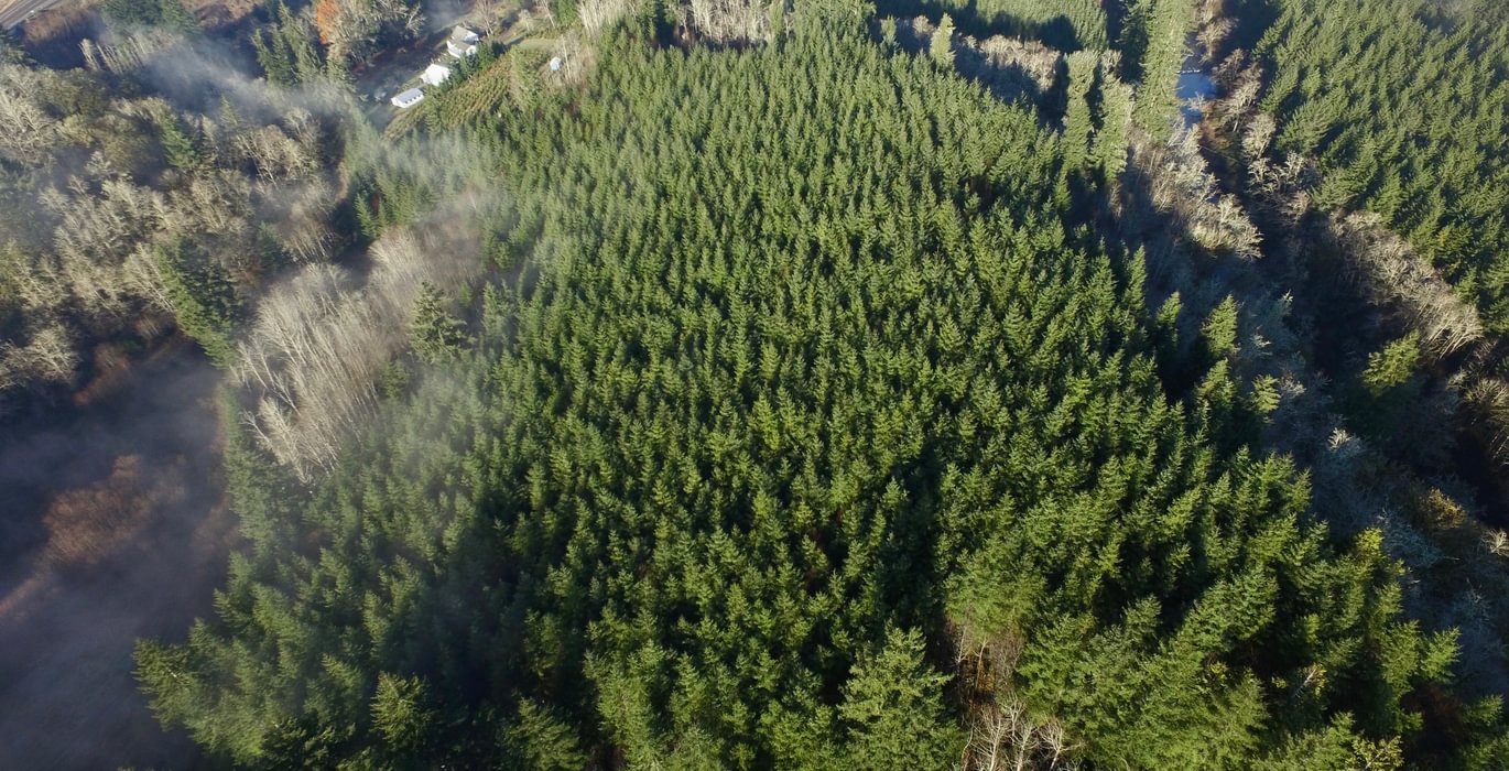 DJI 0408
