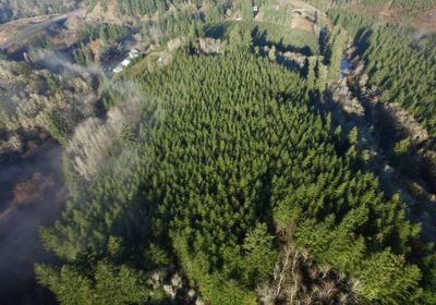 DJI 0408