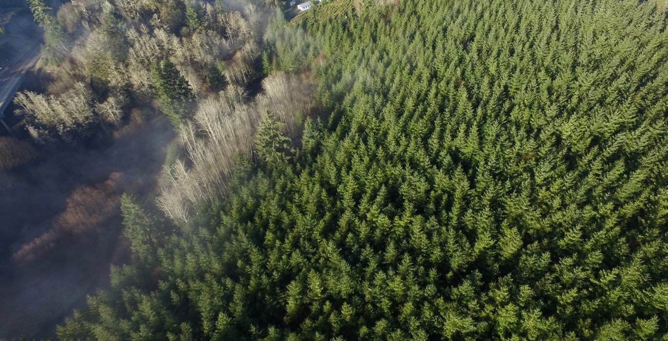 DJI 0410