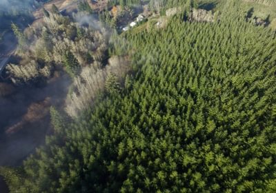 DJI 0410