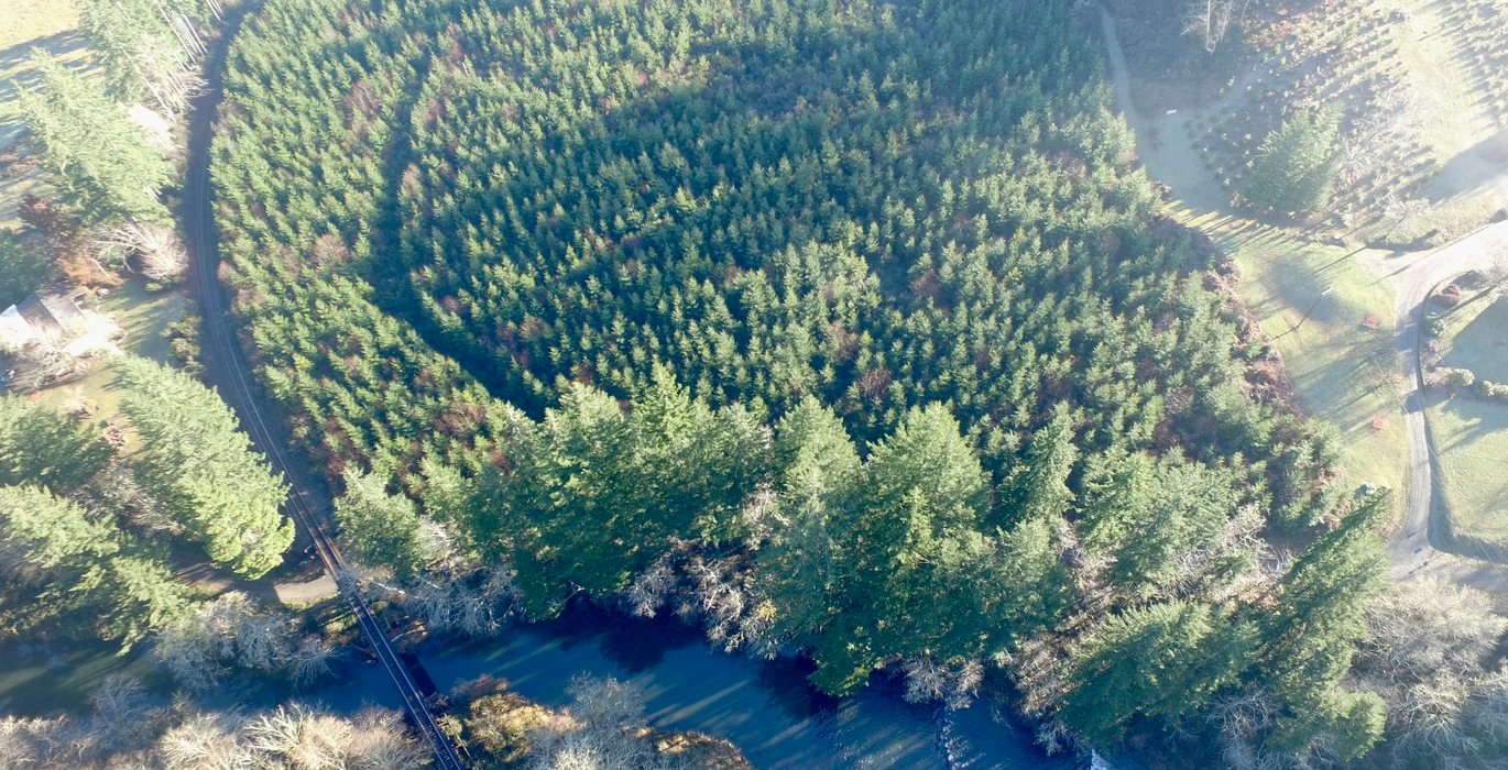 DJI 0416