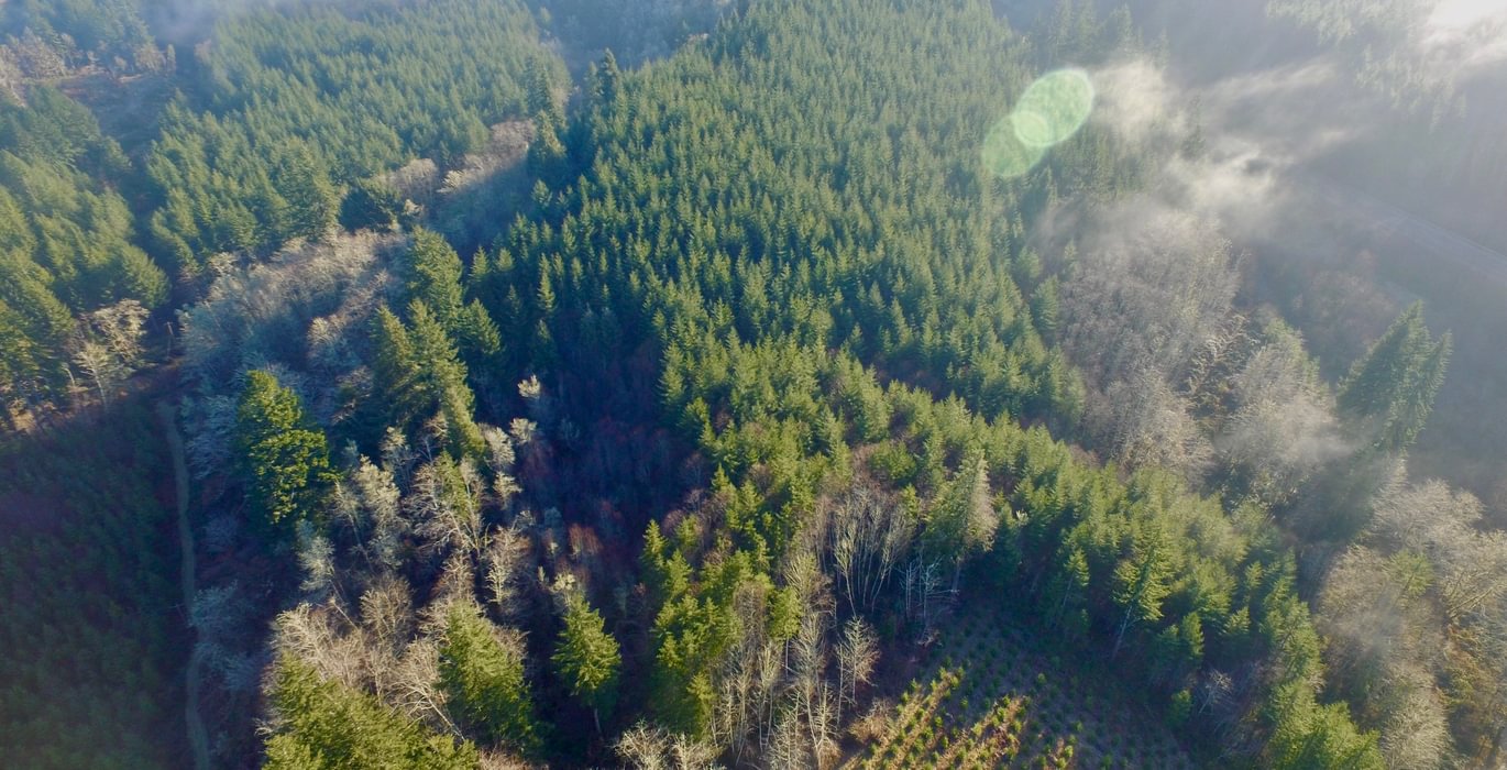 DJI 0422