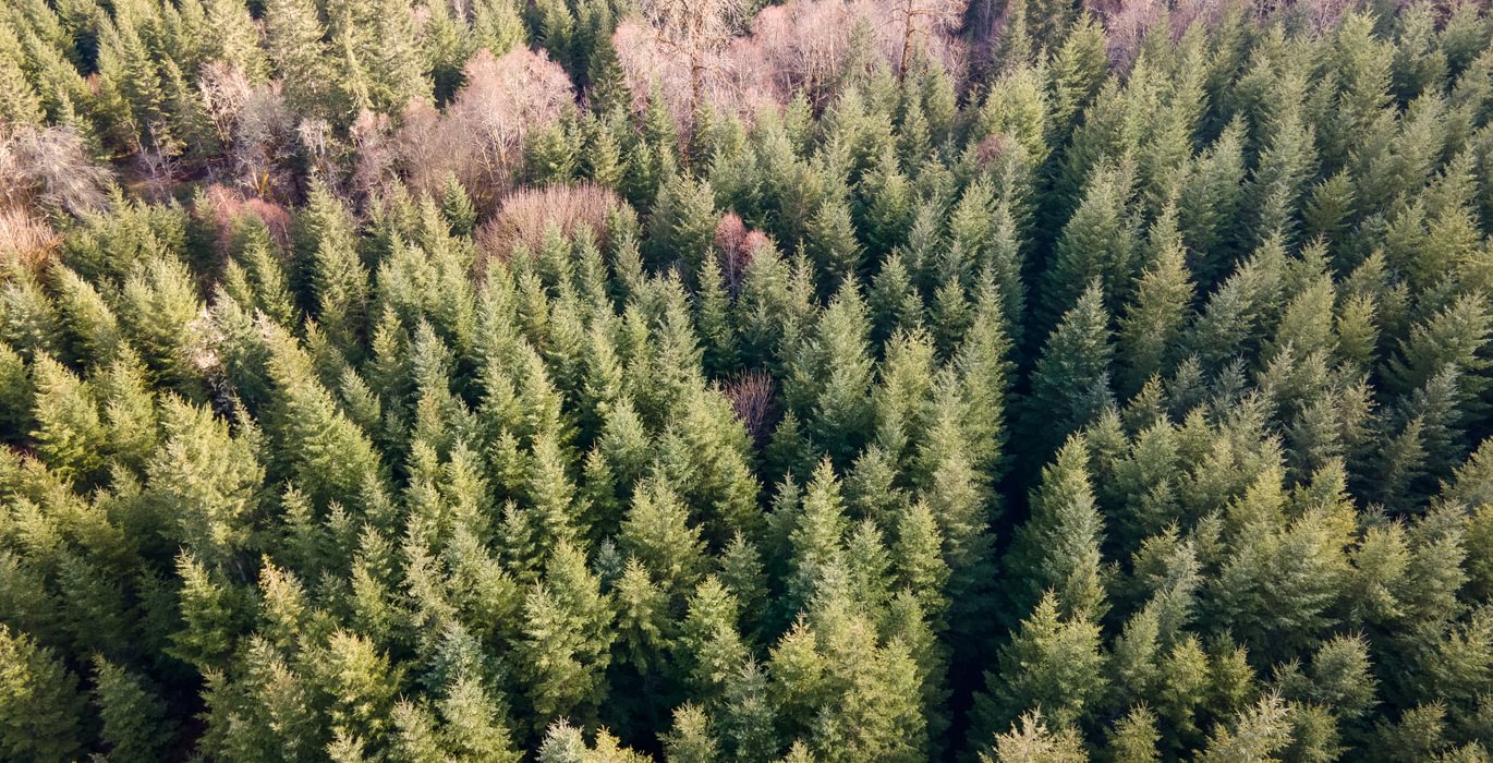 DJI 0664 HDR01