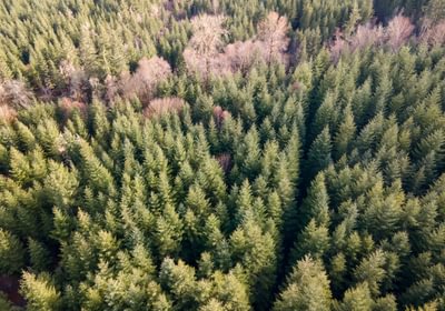 DJI 0664 HDR01