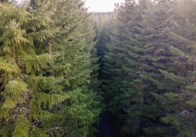 DJI 0673 HDR01